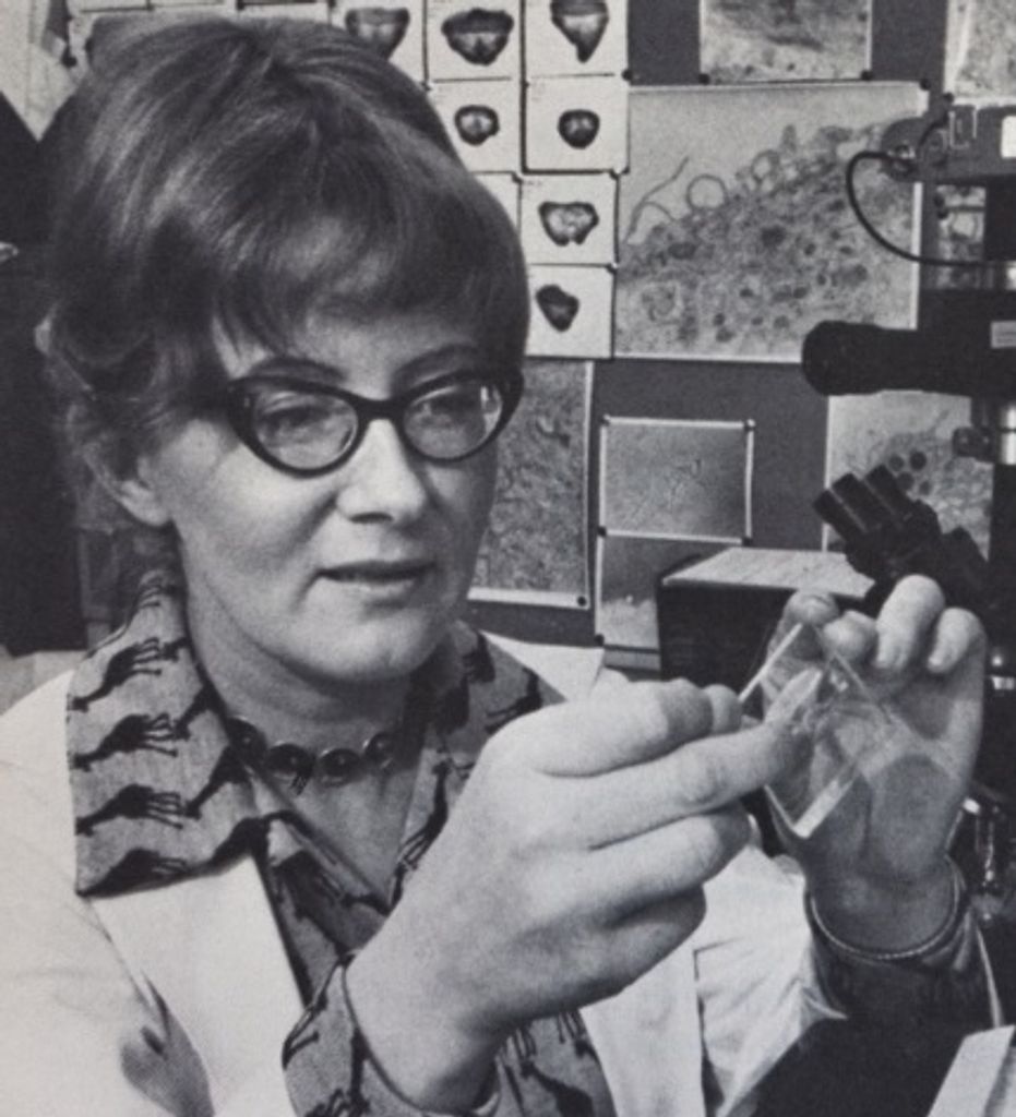 Hanna Rose Sobkowicz Profile Photo