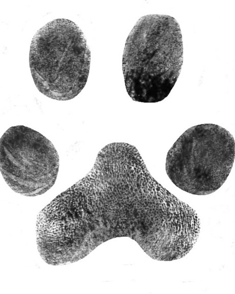 Clarabelle Bodenheimer Profile Photo