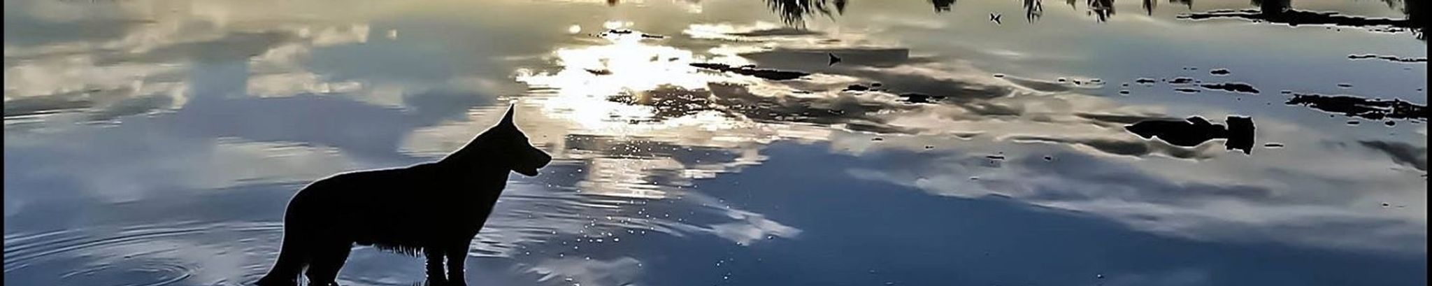 Cover for Ruger Knight Brown's Obituary