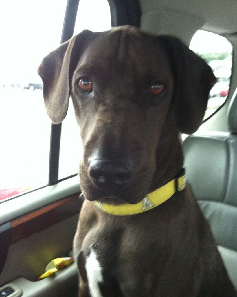 Jake