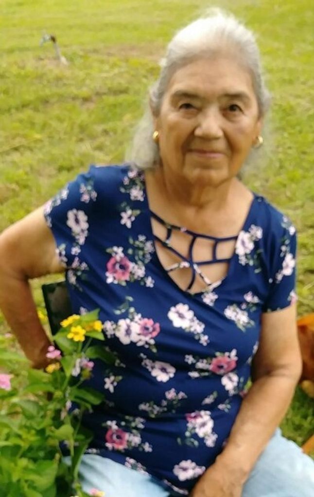 Pauline Norton Profile Photo