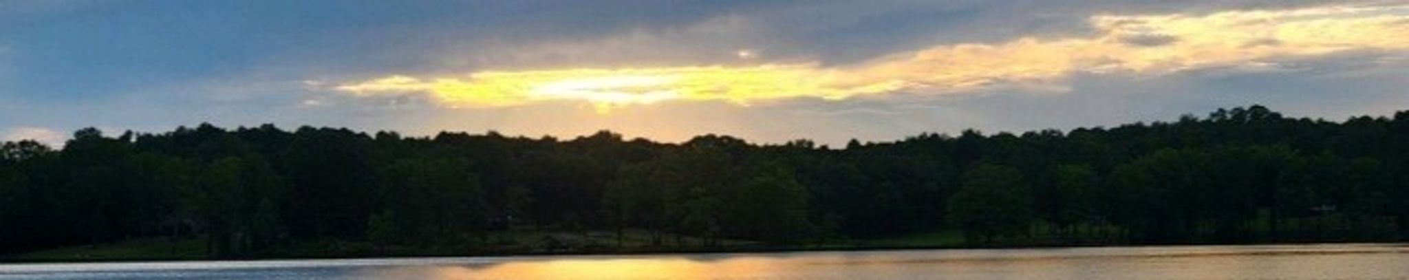 Cover photo for Robin Council Cooper's Obituary