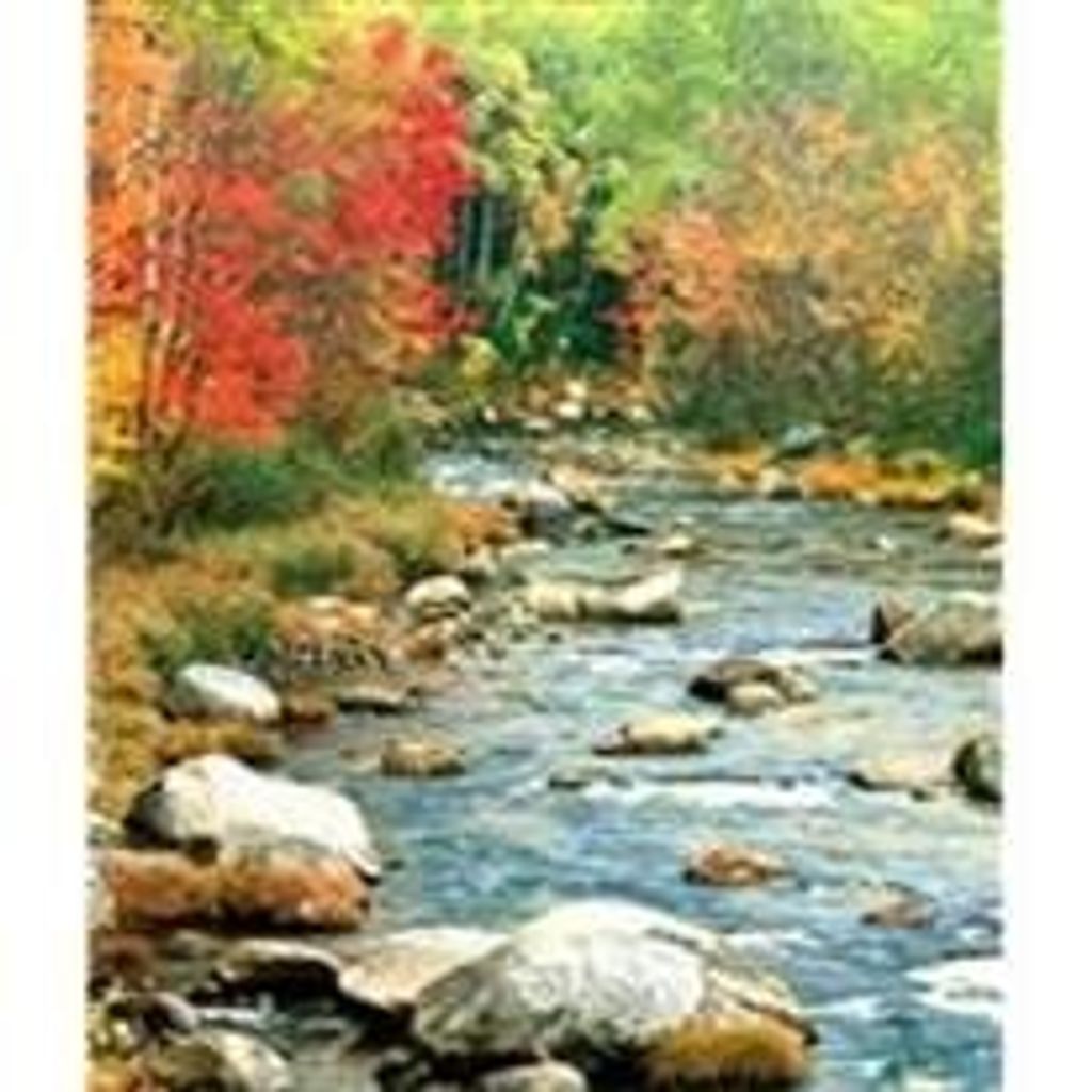 Jeffrey R. Ellingson