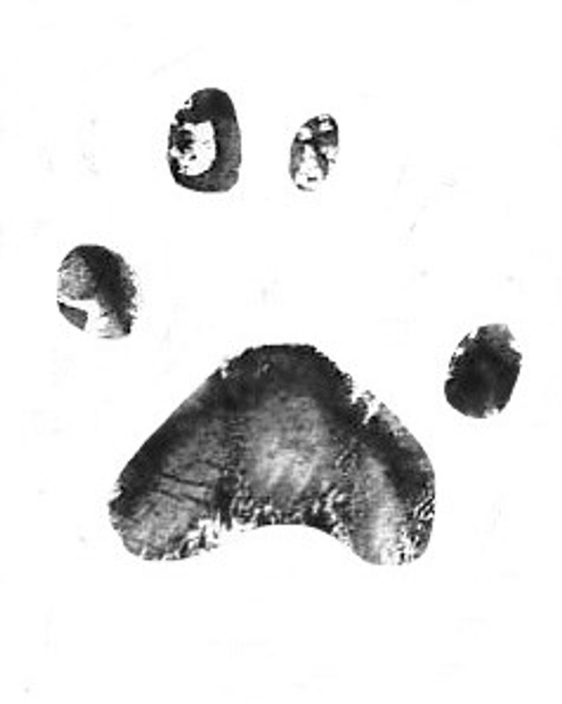 Petula Duke Profile Photo