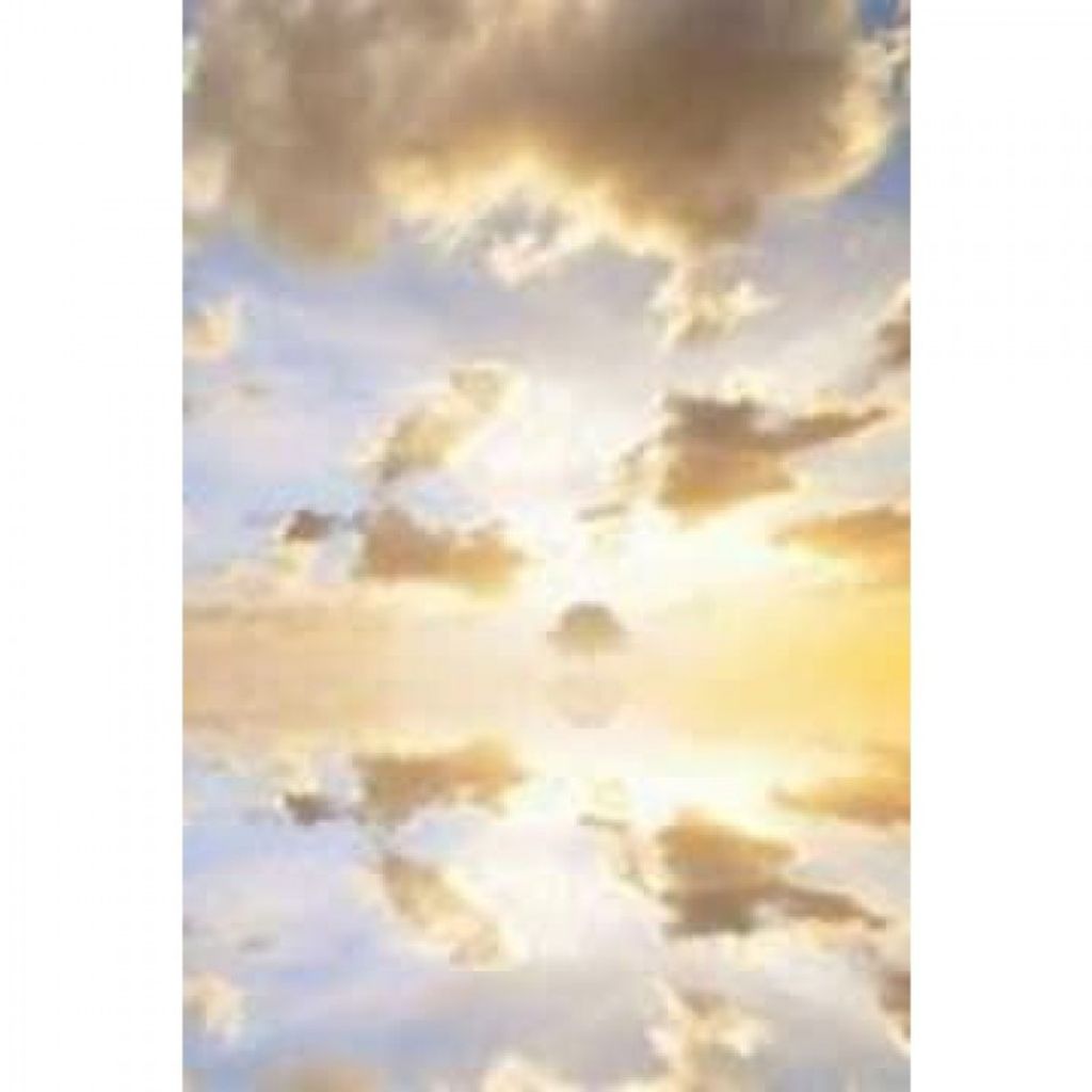 Timothy Francis Slowik Jr. Profile Photo