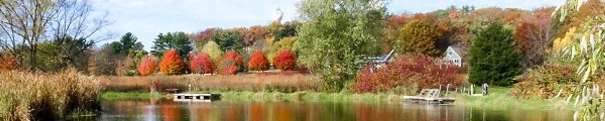 Cover for Peggy (Margaret) Rose Traver's Obituary