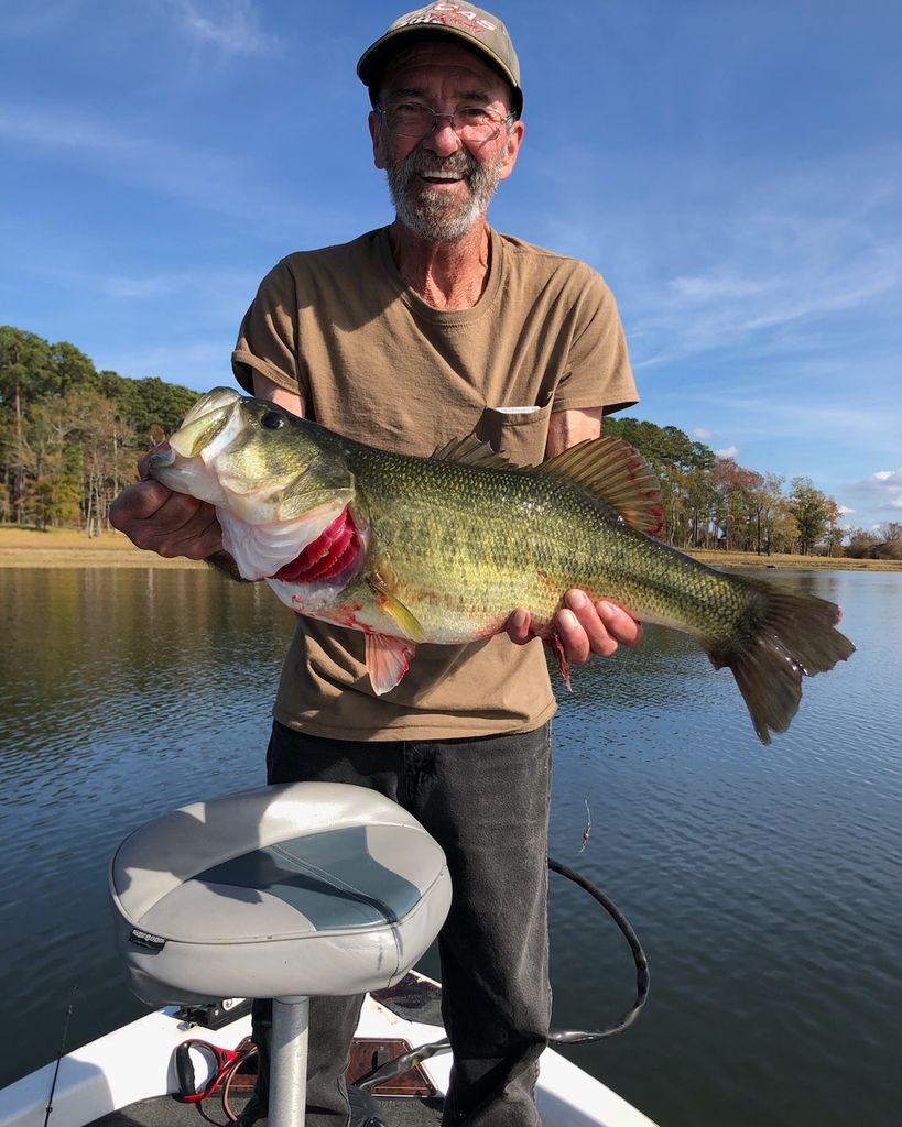 Blake Bourque Profile Photo