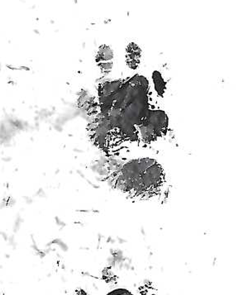 Ritchie Allen Profile Photo