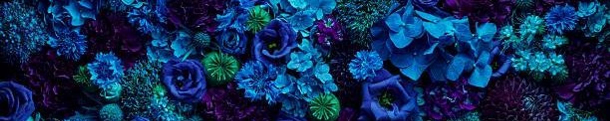 Cover photo for Flor Alicia Alvarado's Obituary