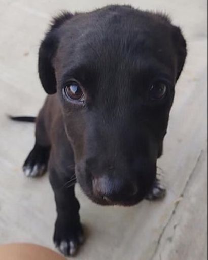 Benny ?'s obituary image