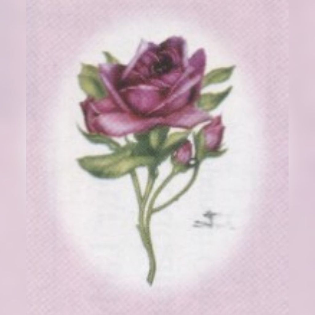 Jamie R Marinaccio