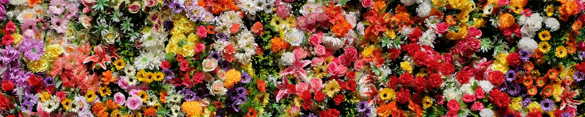 Cover photo for Christine Emma Gwelda O'Shaughnessy's Obituary