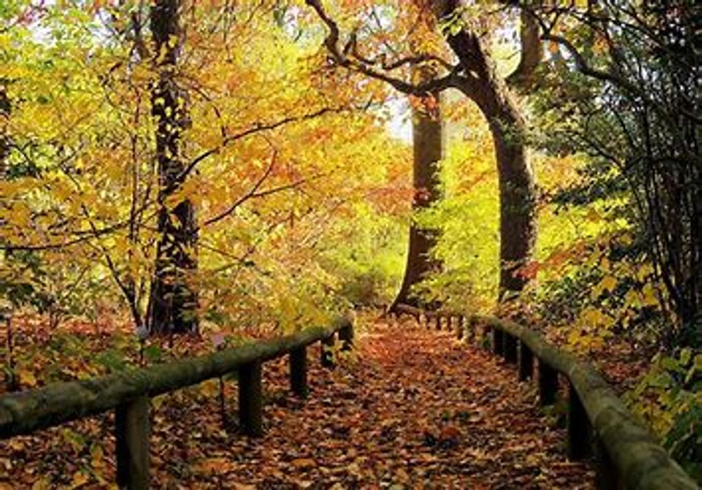 Joel Paul Ptacnik Profile Photo