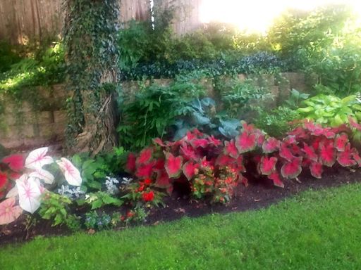 Sandra L. Stowers photo gallery thumbnail 49 of 100