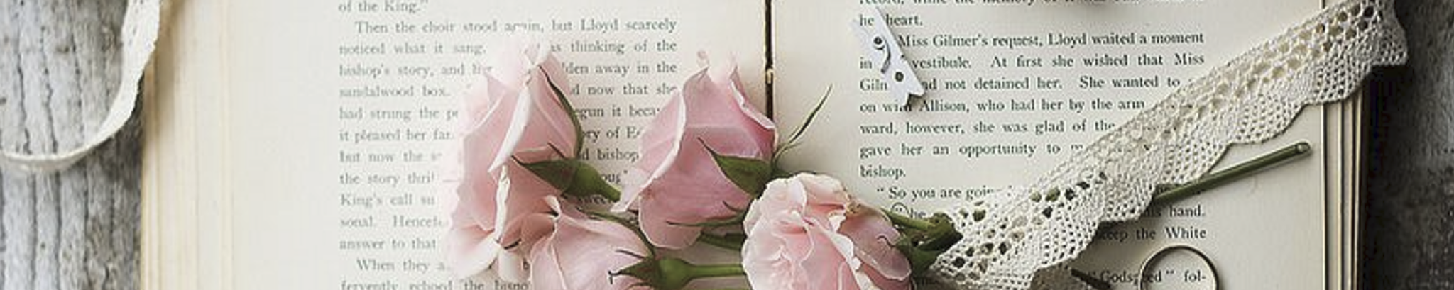 Cover photo for Lorraine Tracy's Obituary