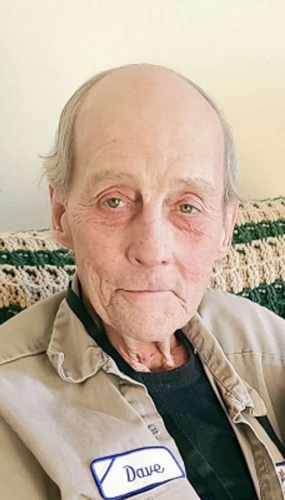 David W Barlow