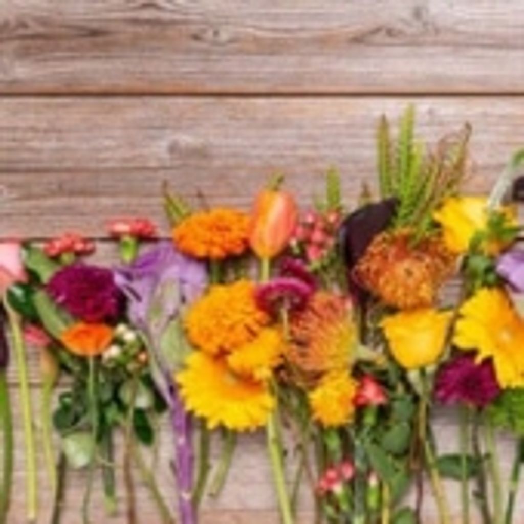 Kathryn Akeroyd Rumbaugh