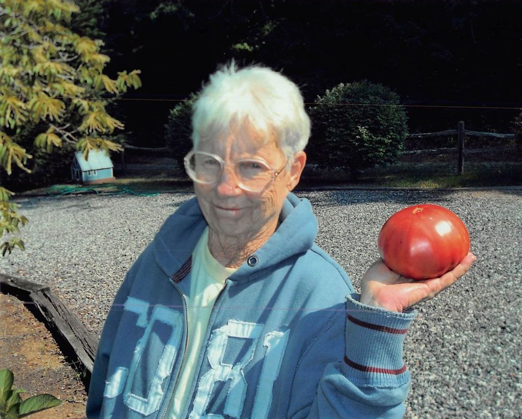 Rosanne  Swift