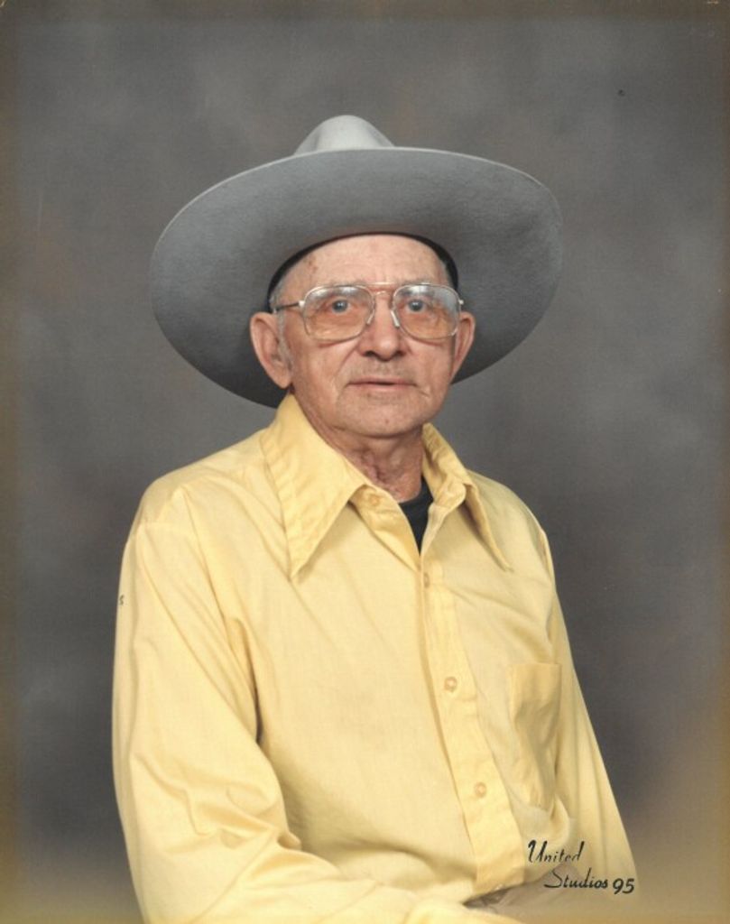 Elwyn Johnston