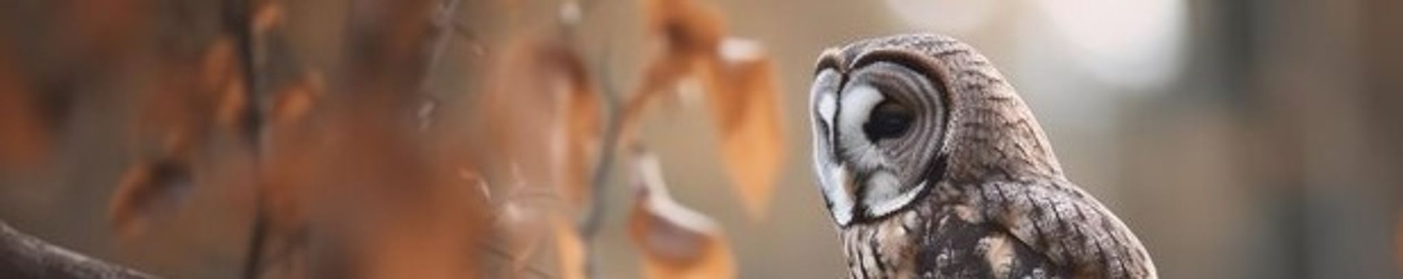 Cover for Victoria Carter's Obituary