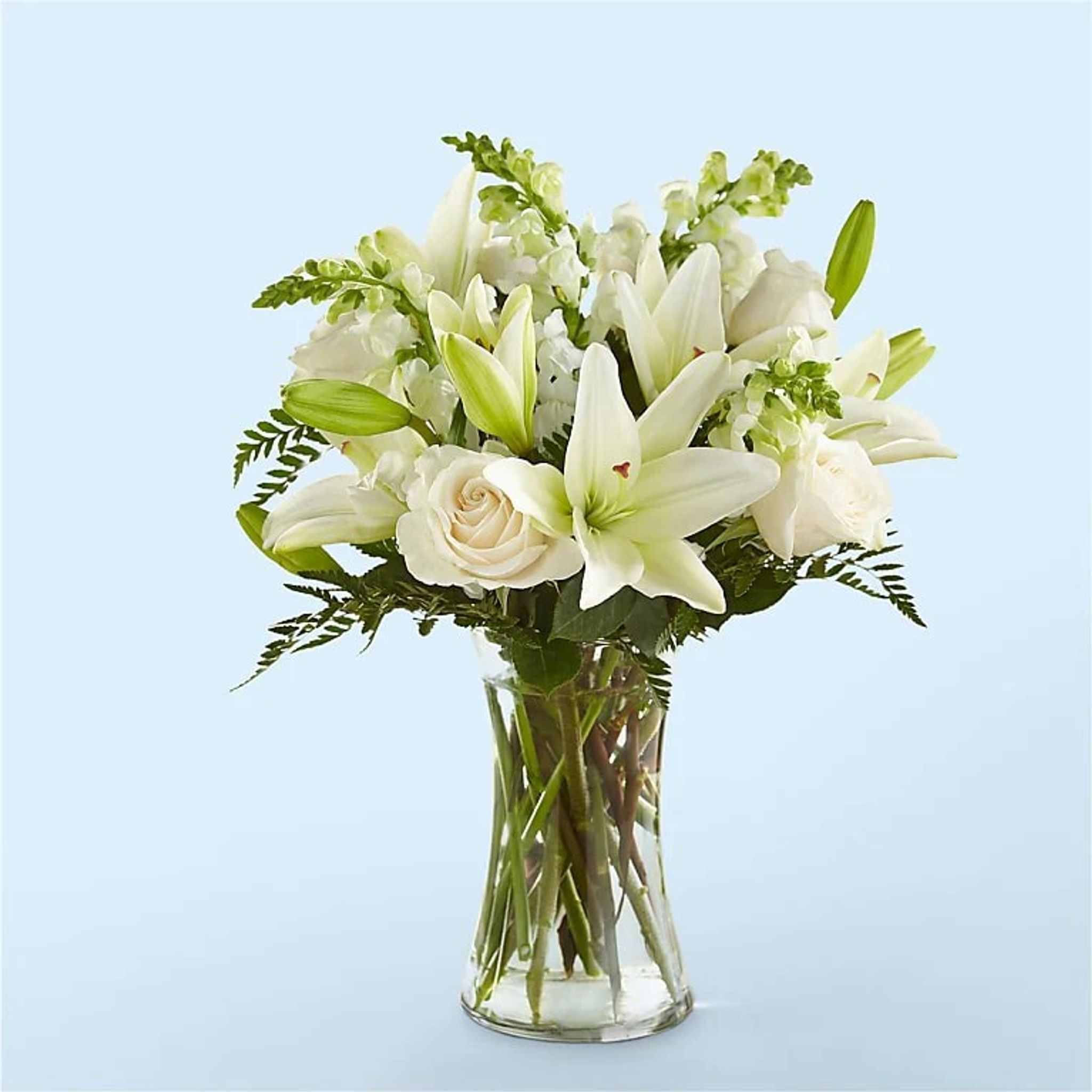 Gloria Alicia Bravo Medina Obituary November 27, 2025 - Joe Jackson Funeral  Chapels & Cremation Services