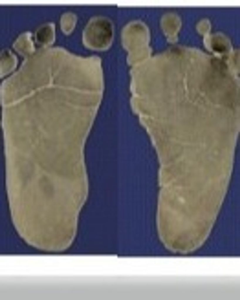 Henry George Schmidt Profile Photo