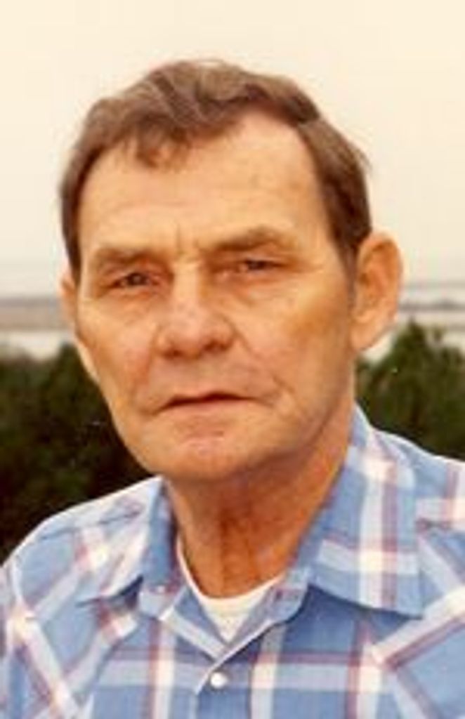 Harry L. Riddell