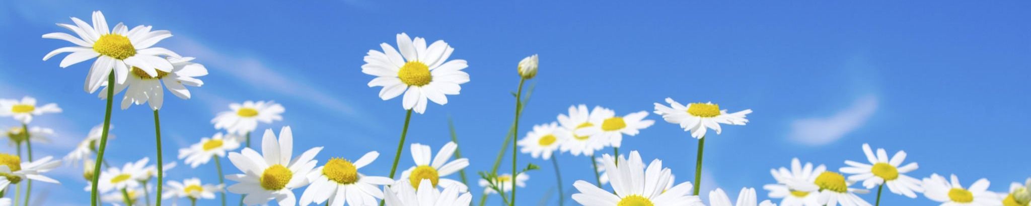 Cover photo for Joan Marie Christy's Obituary