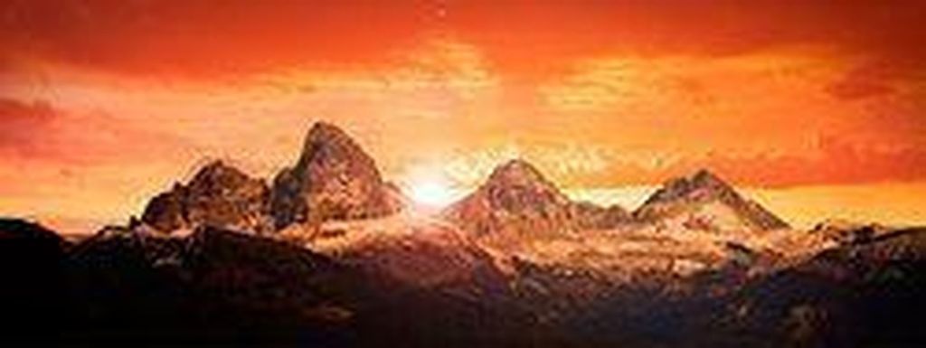 Richard Steere Cotter