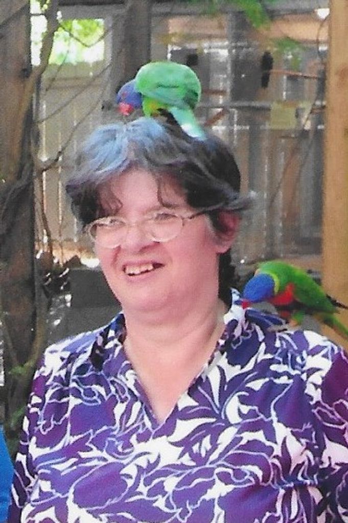 Dawn M. Schanz Profile Photo