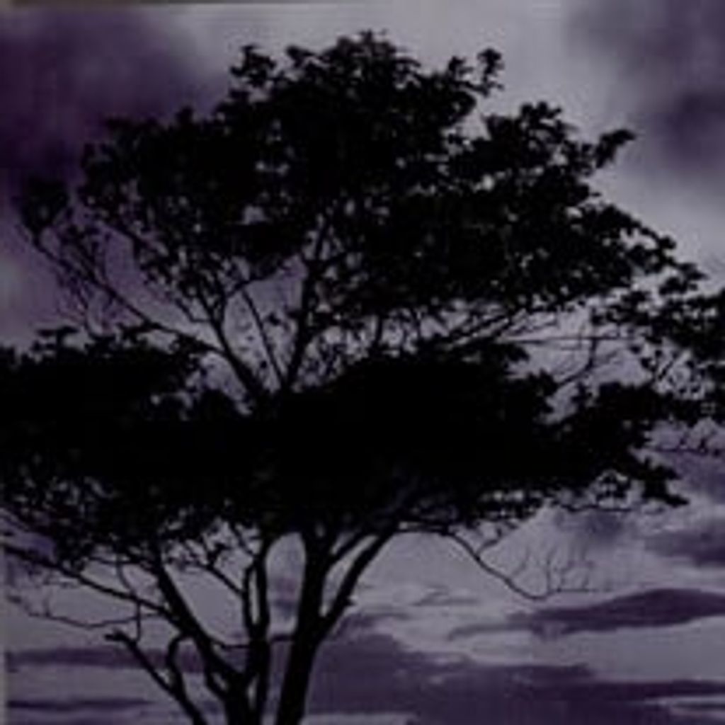 Gladys Abney Fields