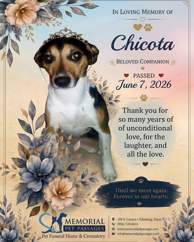 Chicota Profile Photo