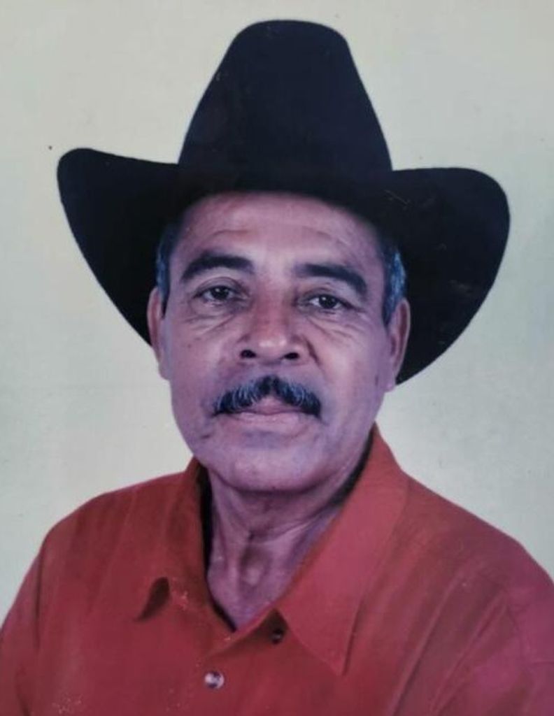 Luis Pineda Profile Photo