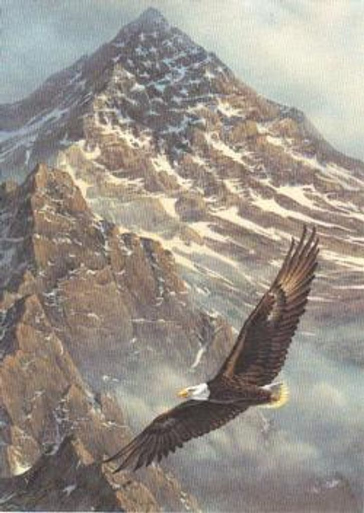 Merle William Modispaw