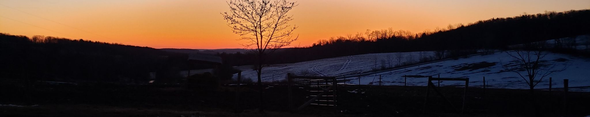 Cover for Traci Ann (Cook) Chatterton's Obituary