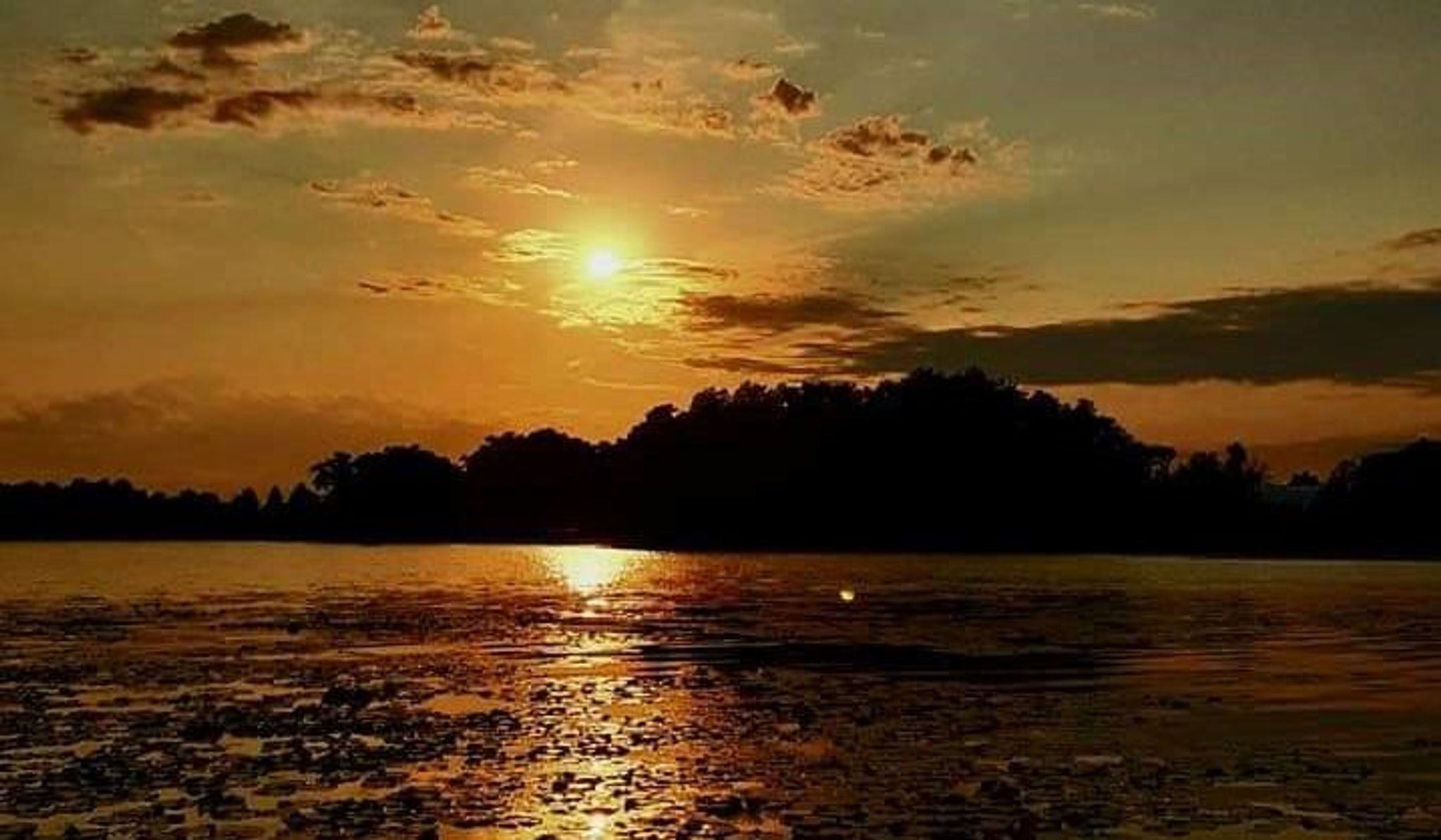 Cover for Dana Ralph Knickerbocker's Obituary