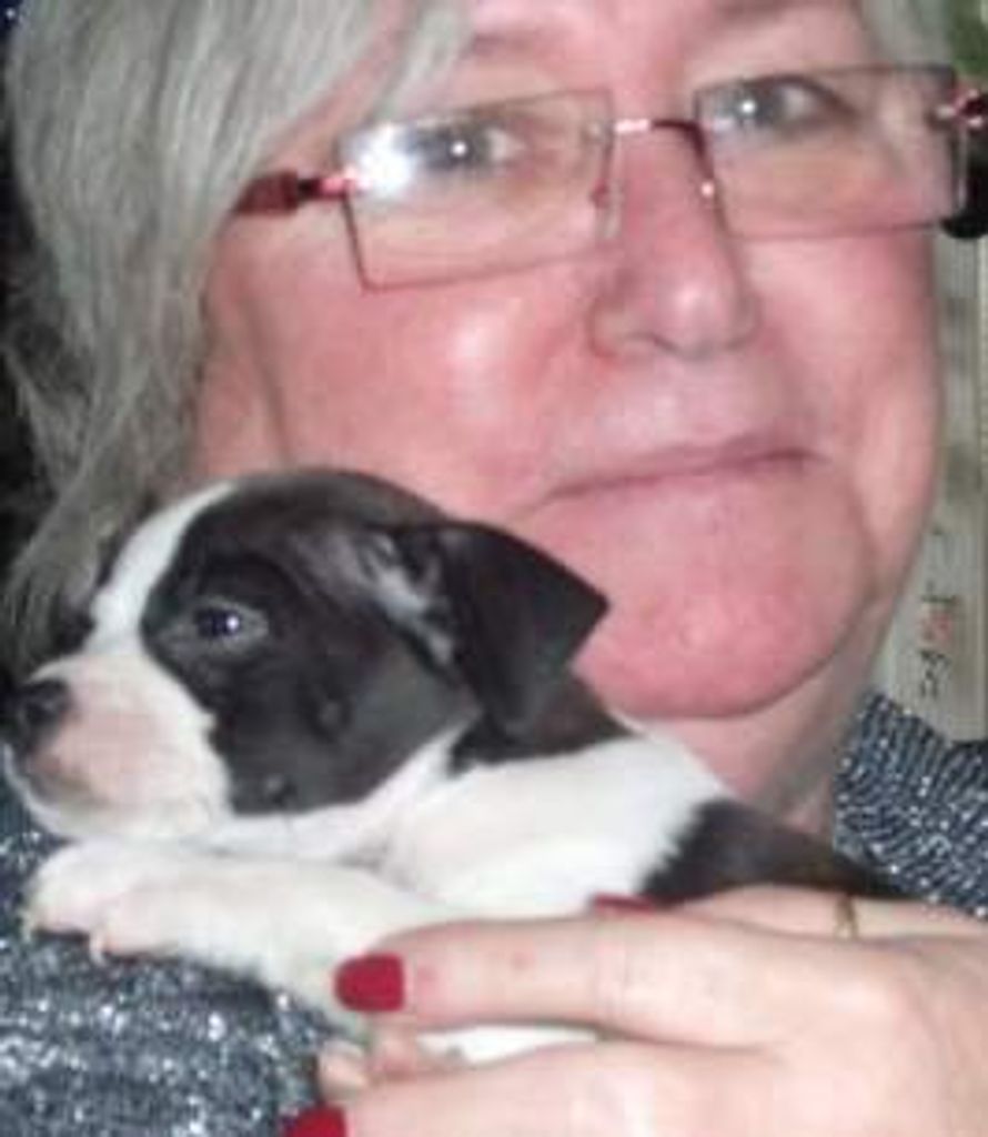 Barbara  Carroll Profile Photo