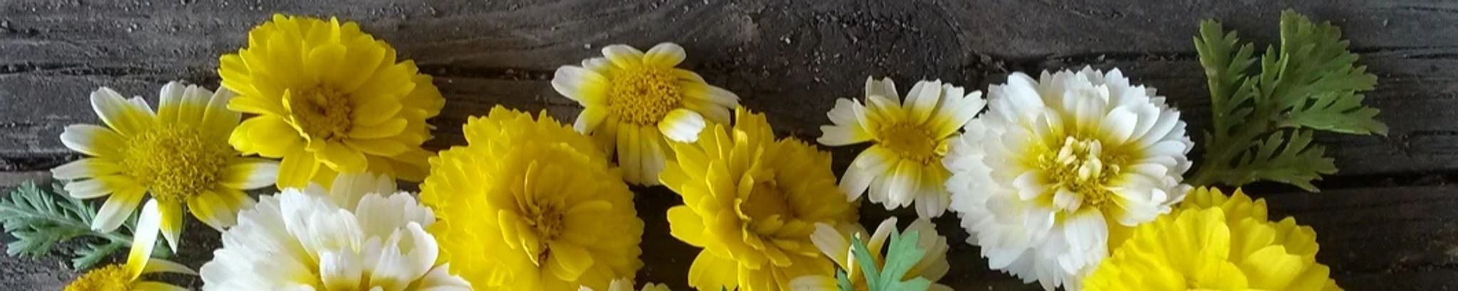 Cover photo for Ruth Smith's Obituary