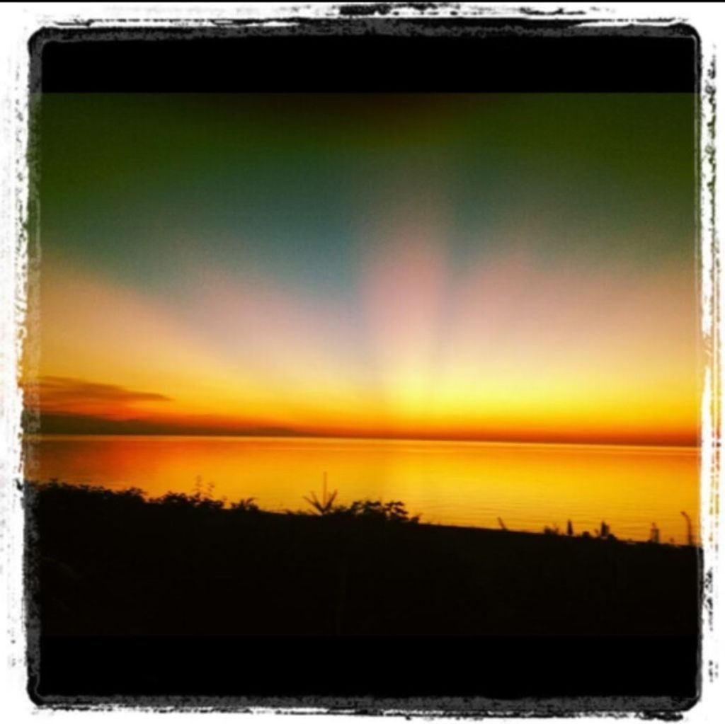 Kimberly Elizabeth Zeitter