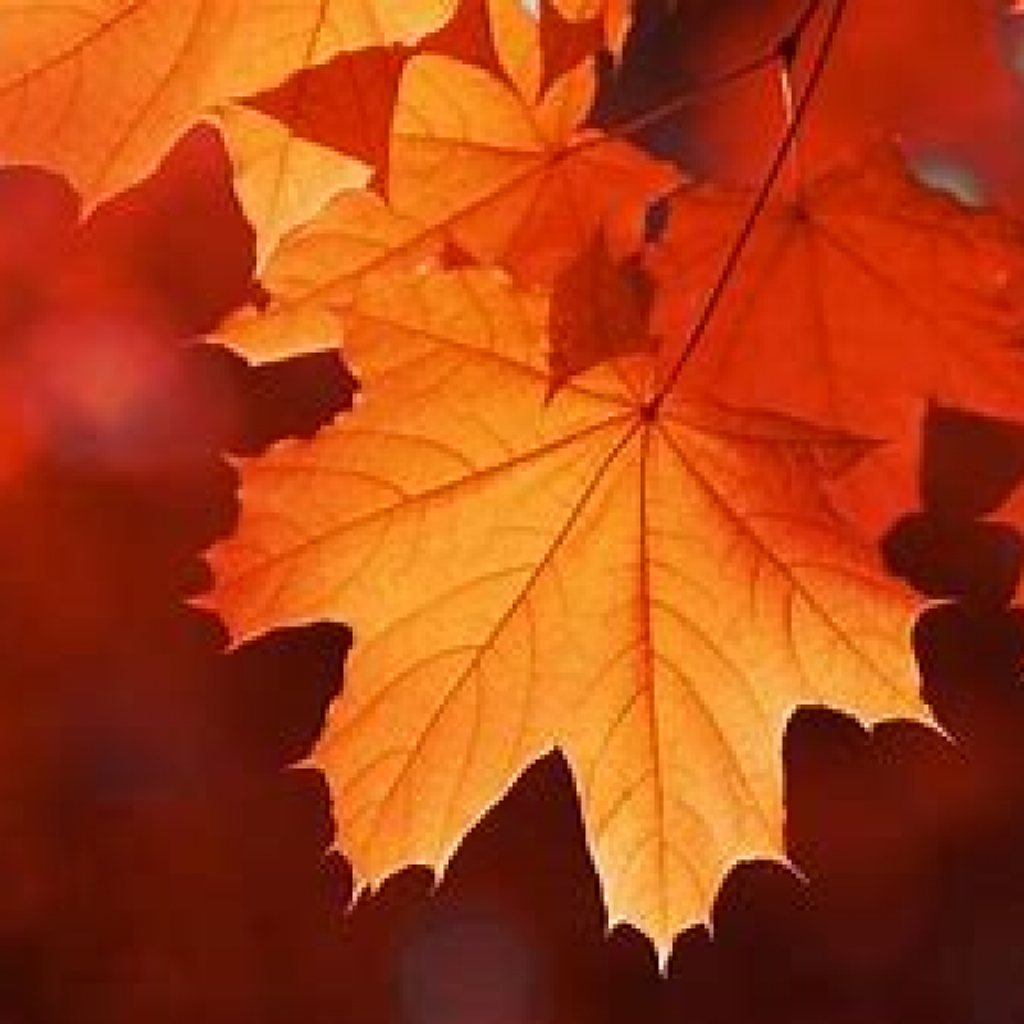 Gerald Huber, Sr. Profile Photo