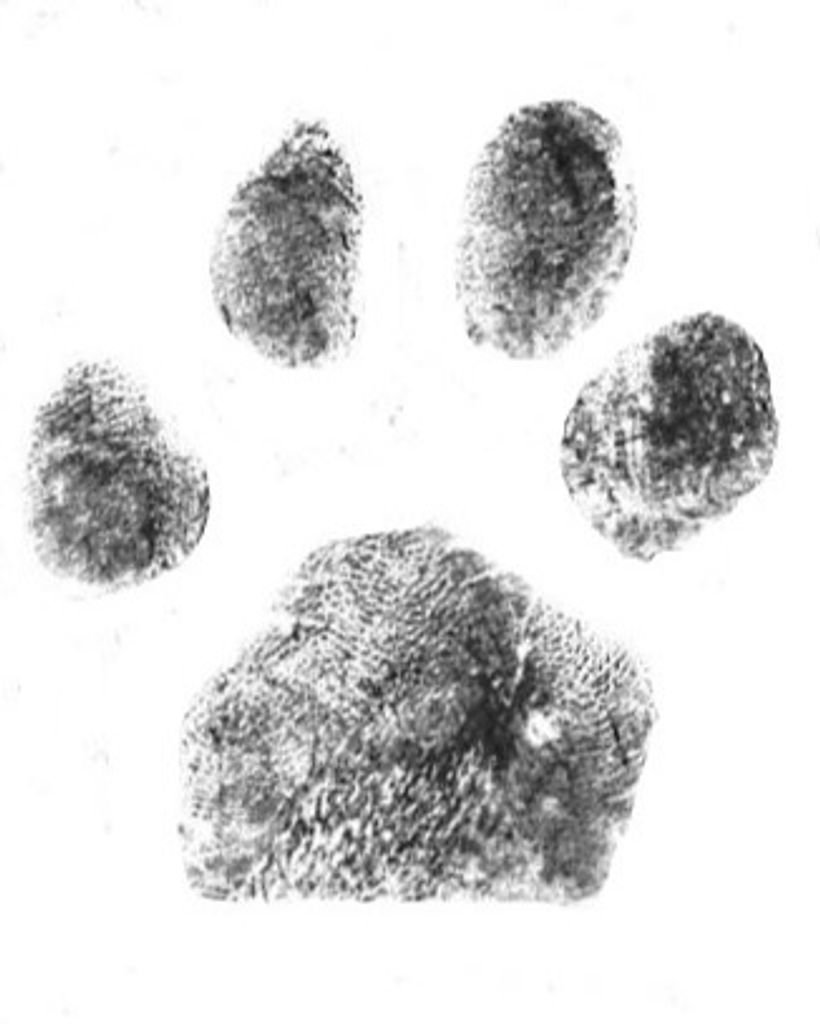 Bubba Maynard Profile Photo