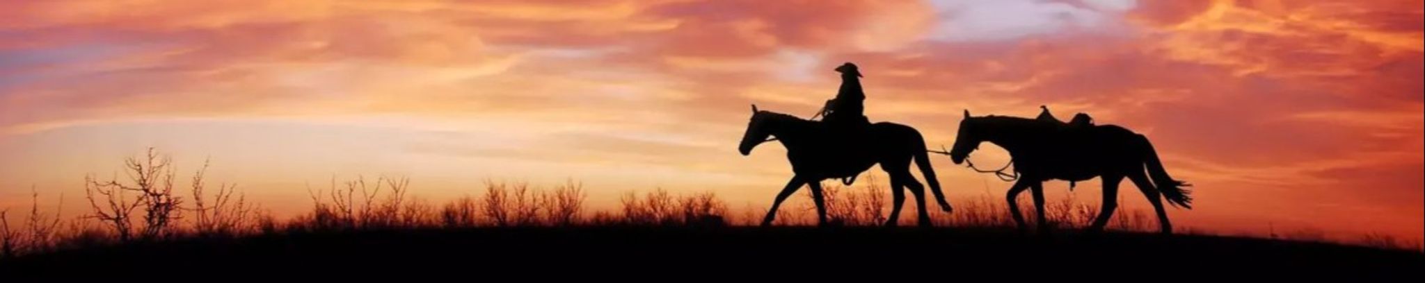 Cover for Beth Ann Mysak's Obituary