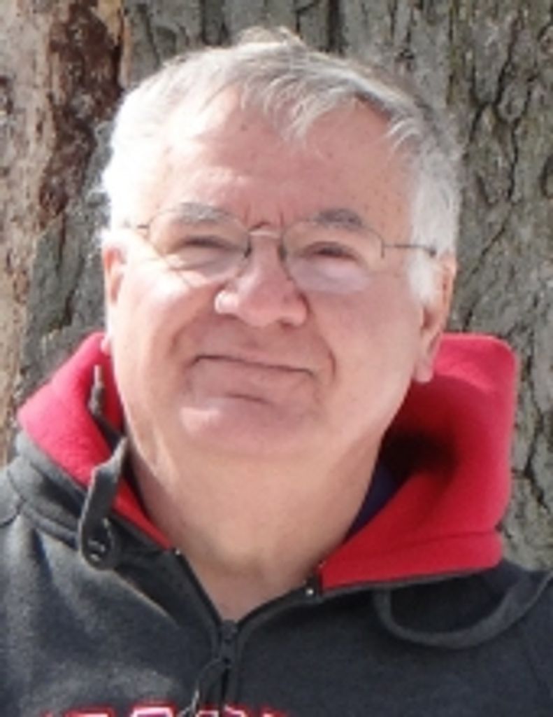 Roy Wollner
