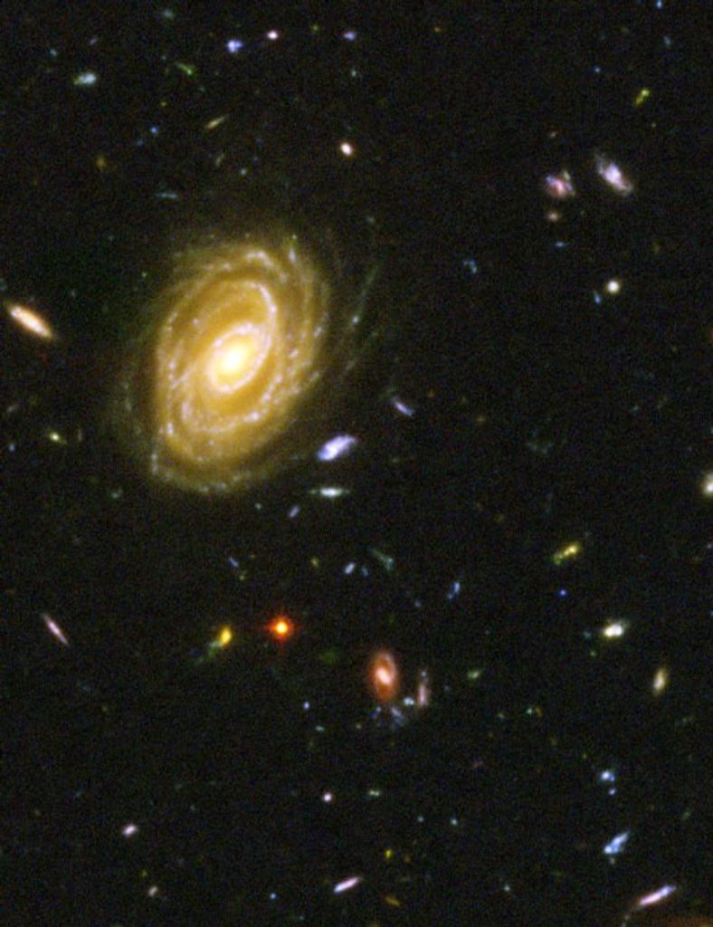 Herbert L. Steinburg