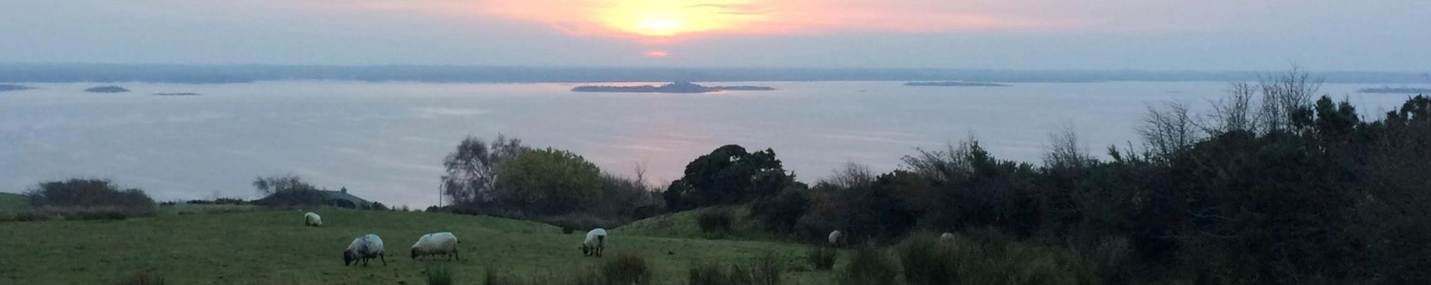 Cover photo for Eileen Moynihan's Obituary