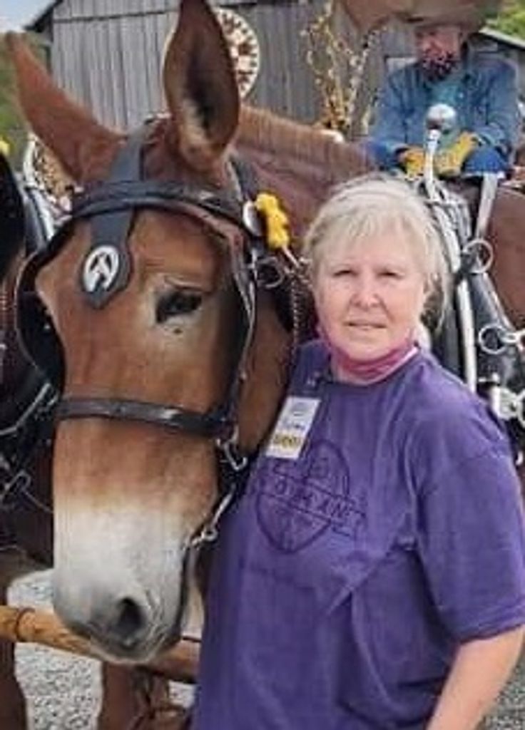 Susan Carol Brovey