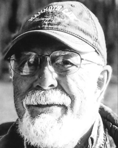 Victor Leland Bjork's obituary image