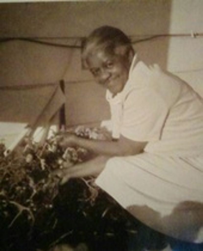 Ella  Bailey Profile Photo