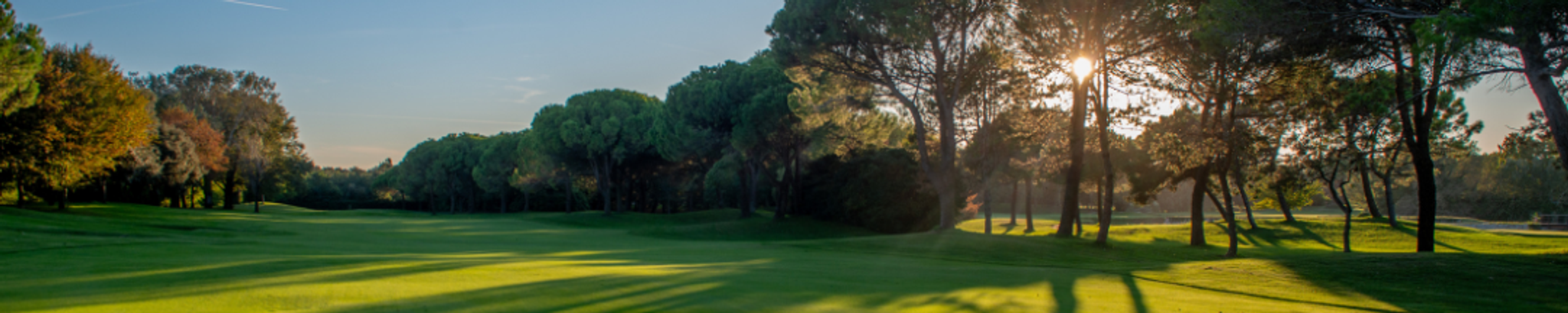 Cover for Robert Nix's Obituary