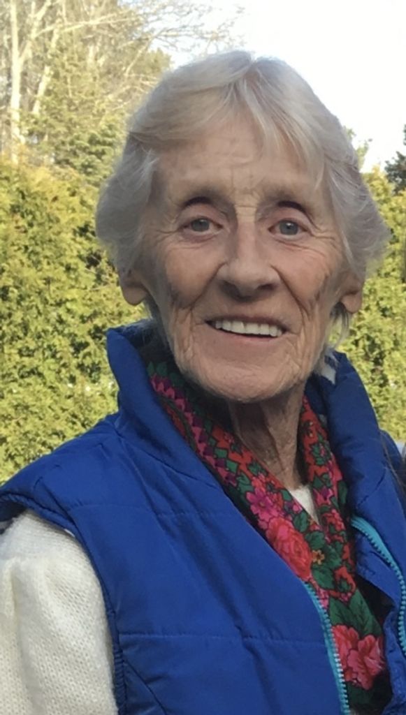 Carol A. (Crook)  Villiard